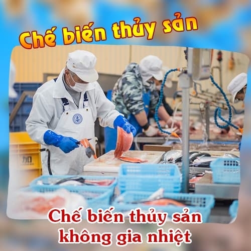 Chế biến thủy sản Nhật Bản cơ hội việc làm thu nhập cao