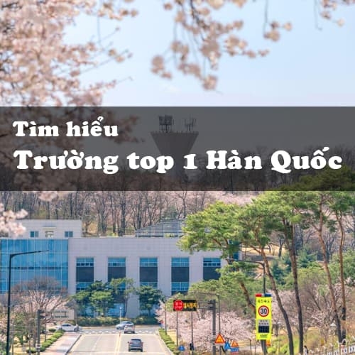 Trường top 1 Hàn Quốc cập nhật liên tục danh sách mới nhất