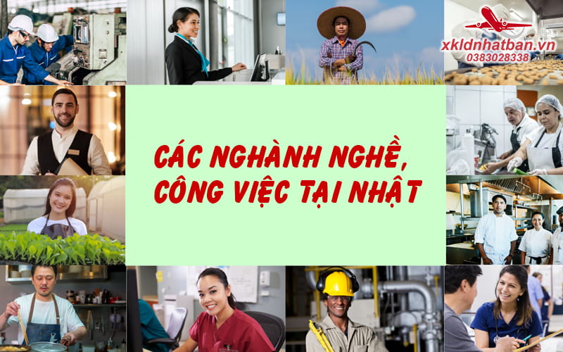 Các đơn hàng xuất khẩu Nhật Bản